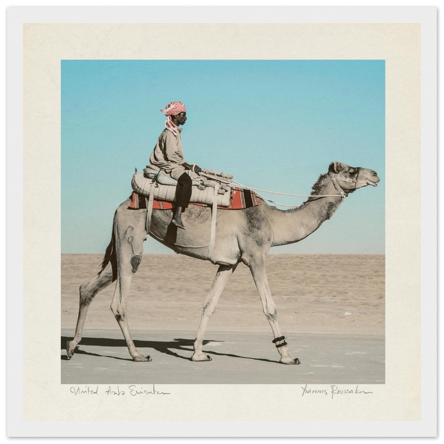 82c8e81f-0ed8-4a57-9df0-f88307ef99b0