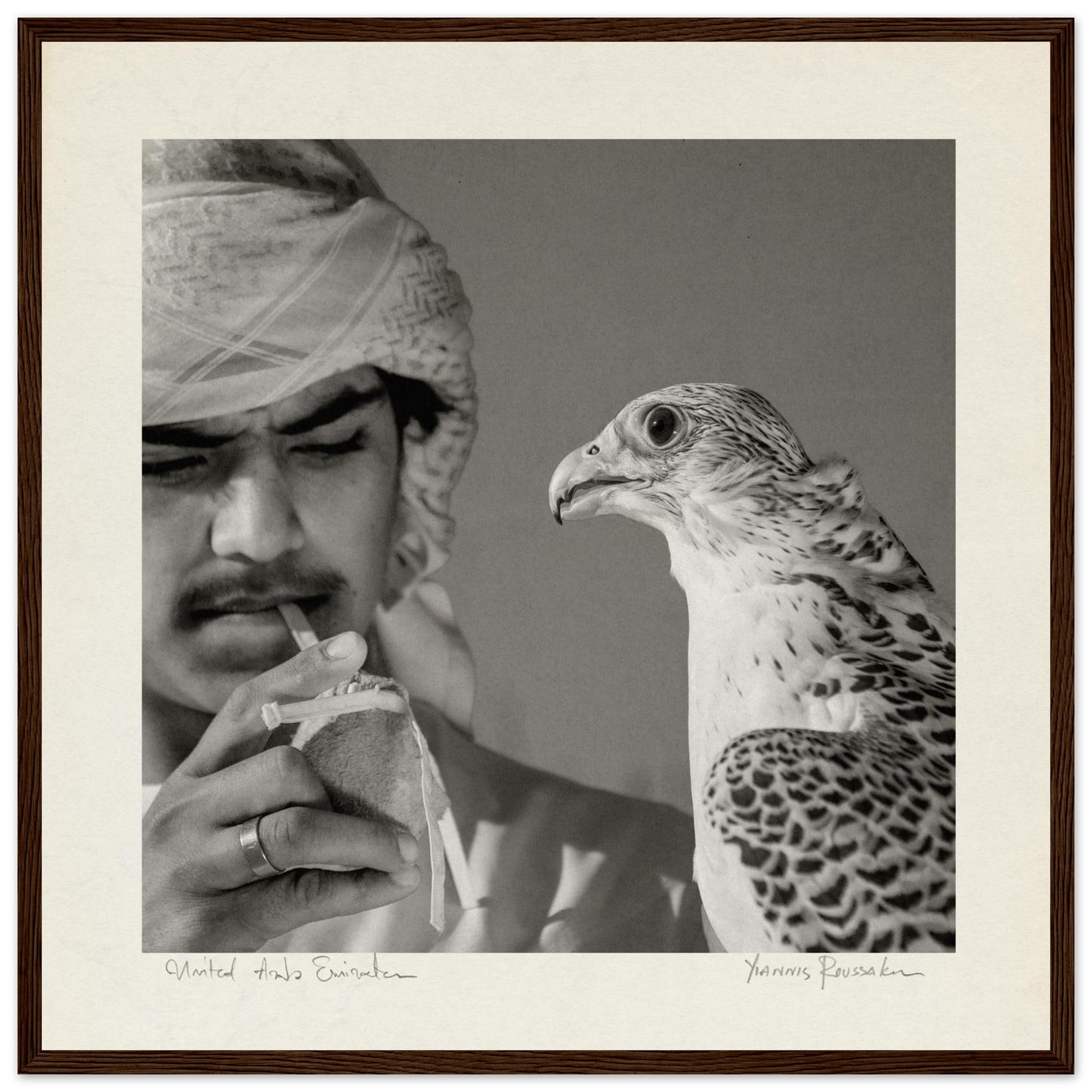 83c1c358-dfa6-4bdc-834f-db42b7ea7e53