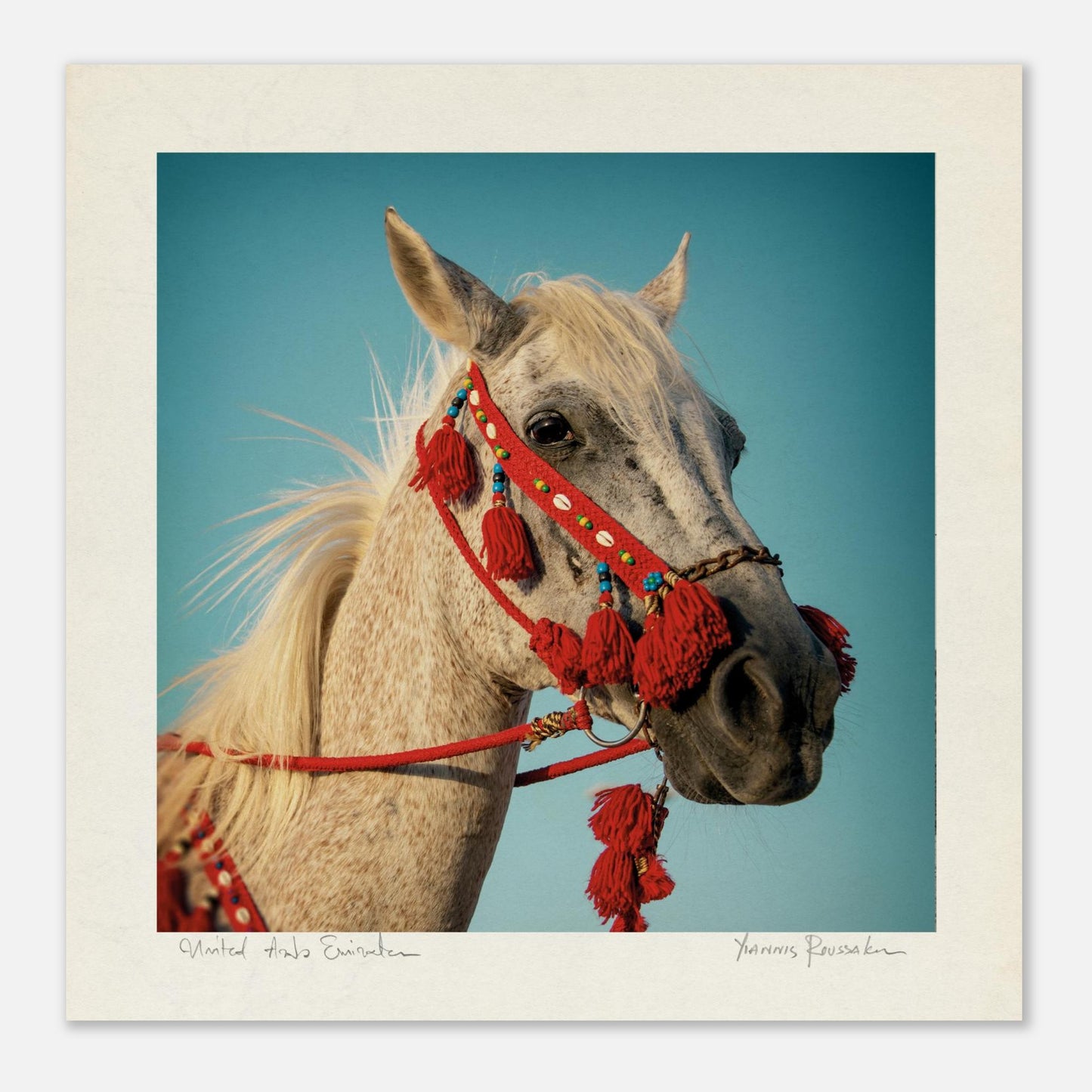 84c72fea-cc05-410c-905c-ee8442cd666e