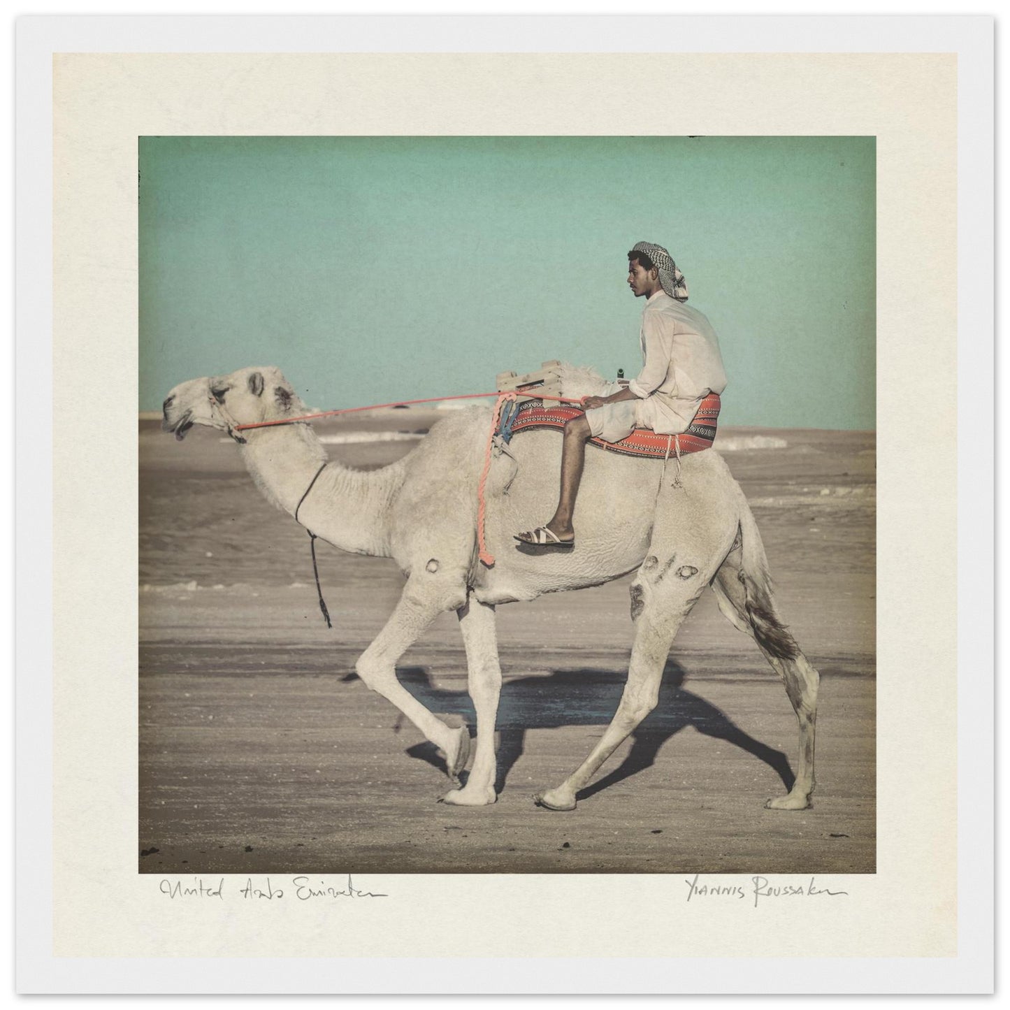 84d786d4-b021-4f2e-811a-7317a1a4cfb5