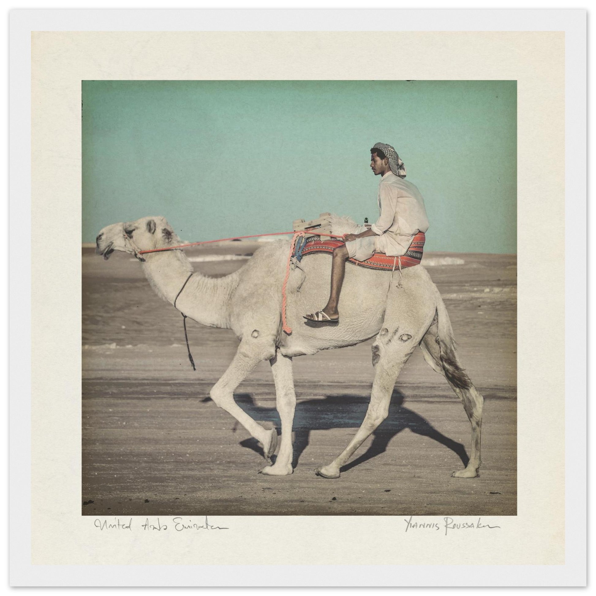 84d786d4-b021-4f2e-811a-7317a1a4cfb5