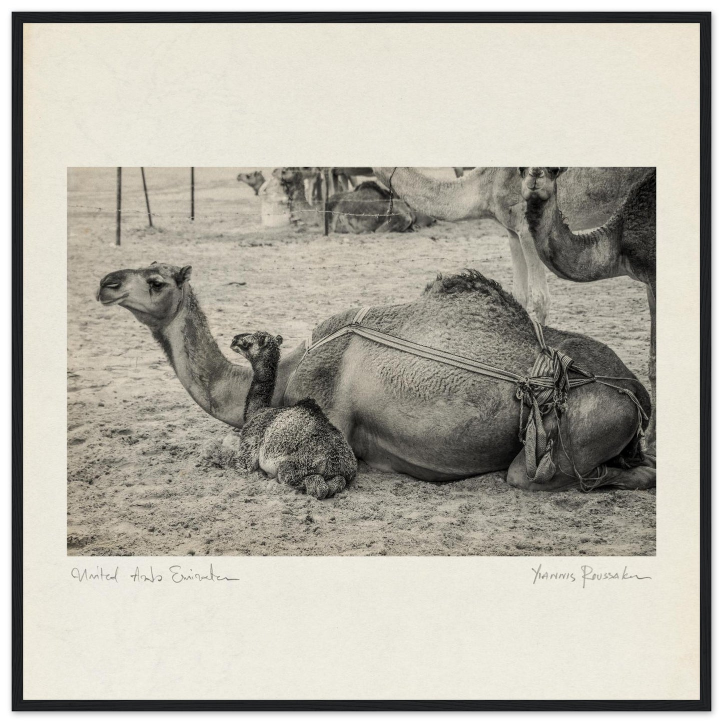 84daab34-5e7b-4fe9-9d01-8279d95141c5