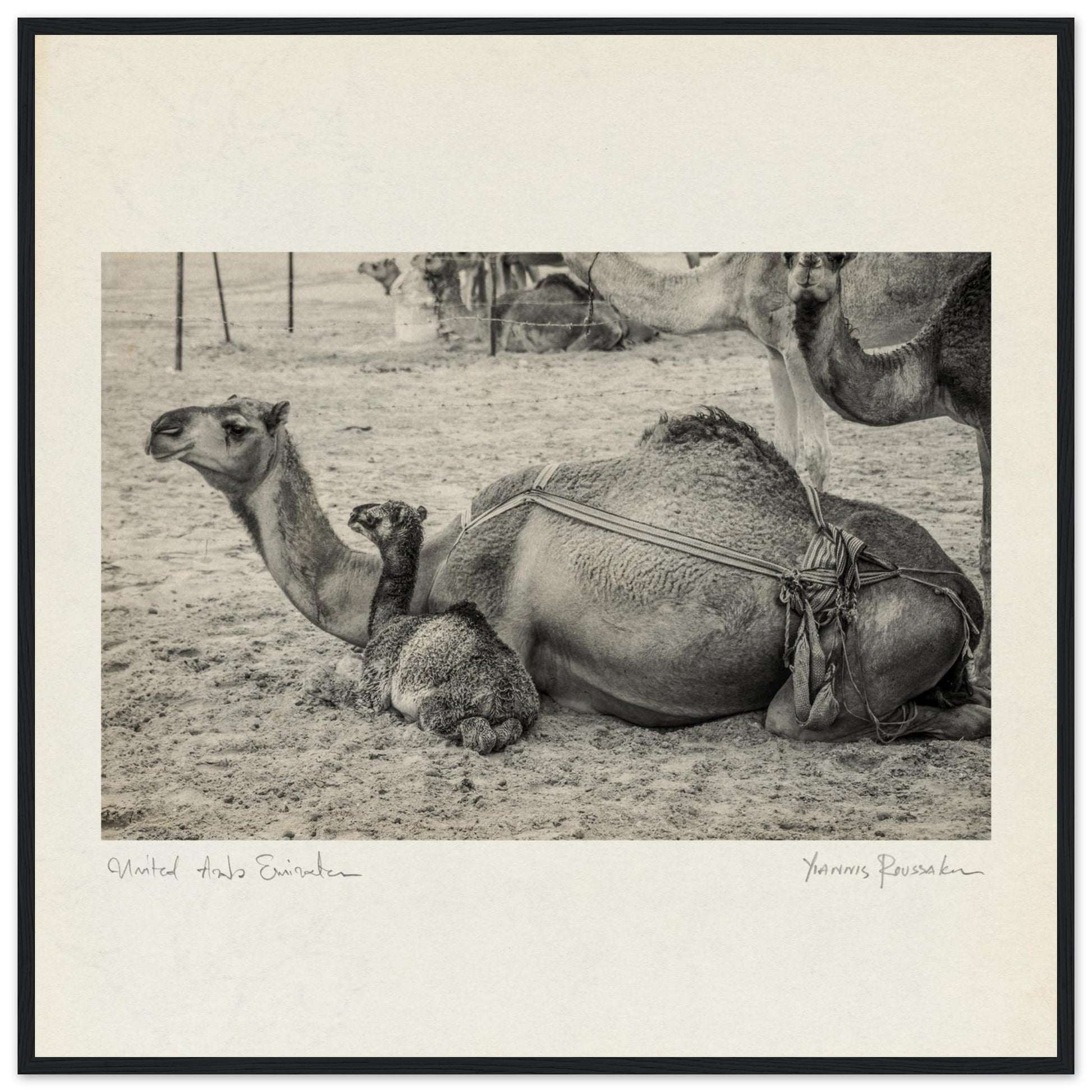 84daab34-5e7b-4fe9-9d01-8279d95141c5