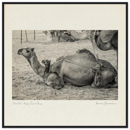 84daab34-5e7b-4fe9-9d01-8279d95141c5