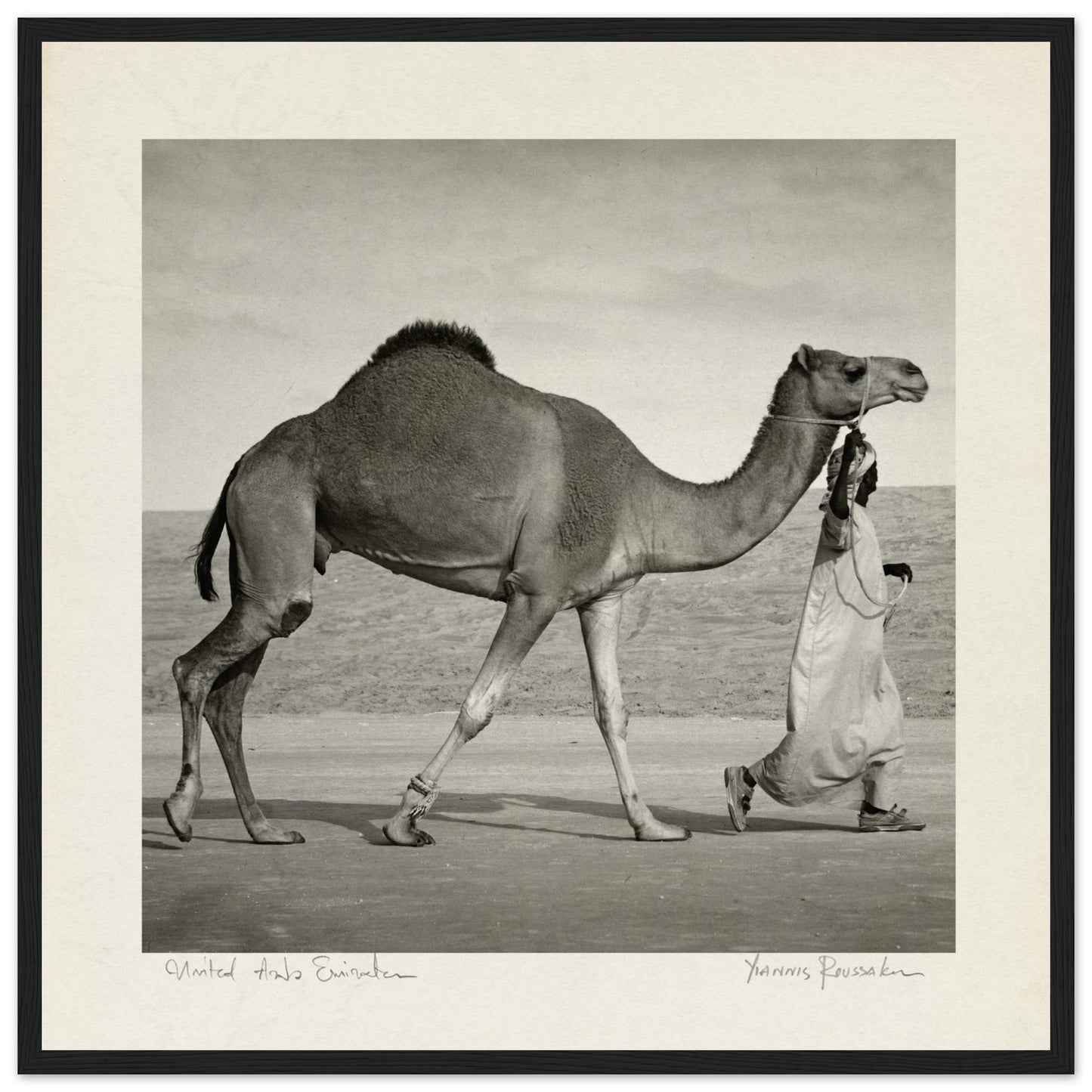 84dc9017-91c7-486c-8da0-ee263d79be6e