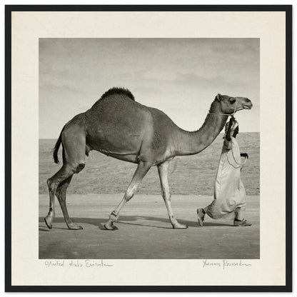 84dc9017-91c7-486c-8da0-ee263d79be6e