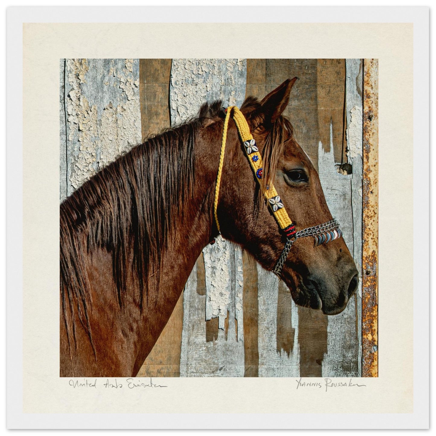 866104b9-ba7d-4432-be1f-f36567eba26b