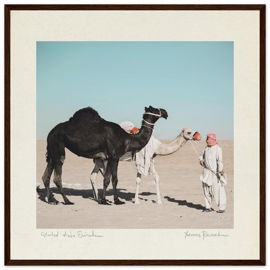 87917b65-c4ad-4dfa-adce-6c1e98060626