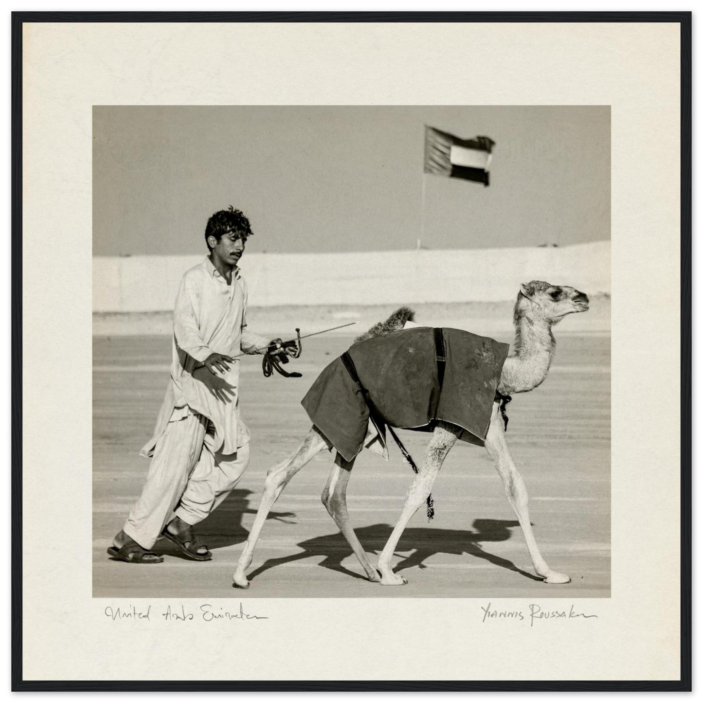 88ece347-e5f3-41f0-a458-c87acf0ba1c0