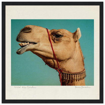 89ee167d-b5ab-42f4-b1ee-847a91e8396f