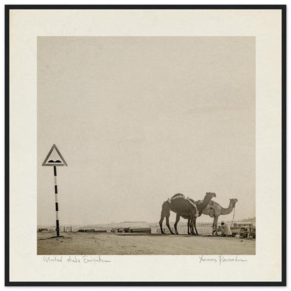 8a0c5bca-8436-4da8-9cb7-b6f3e3ae388f