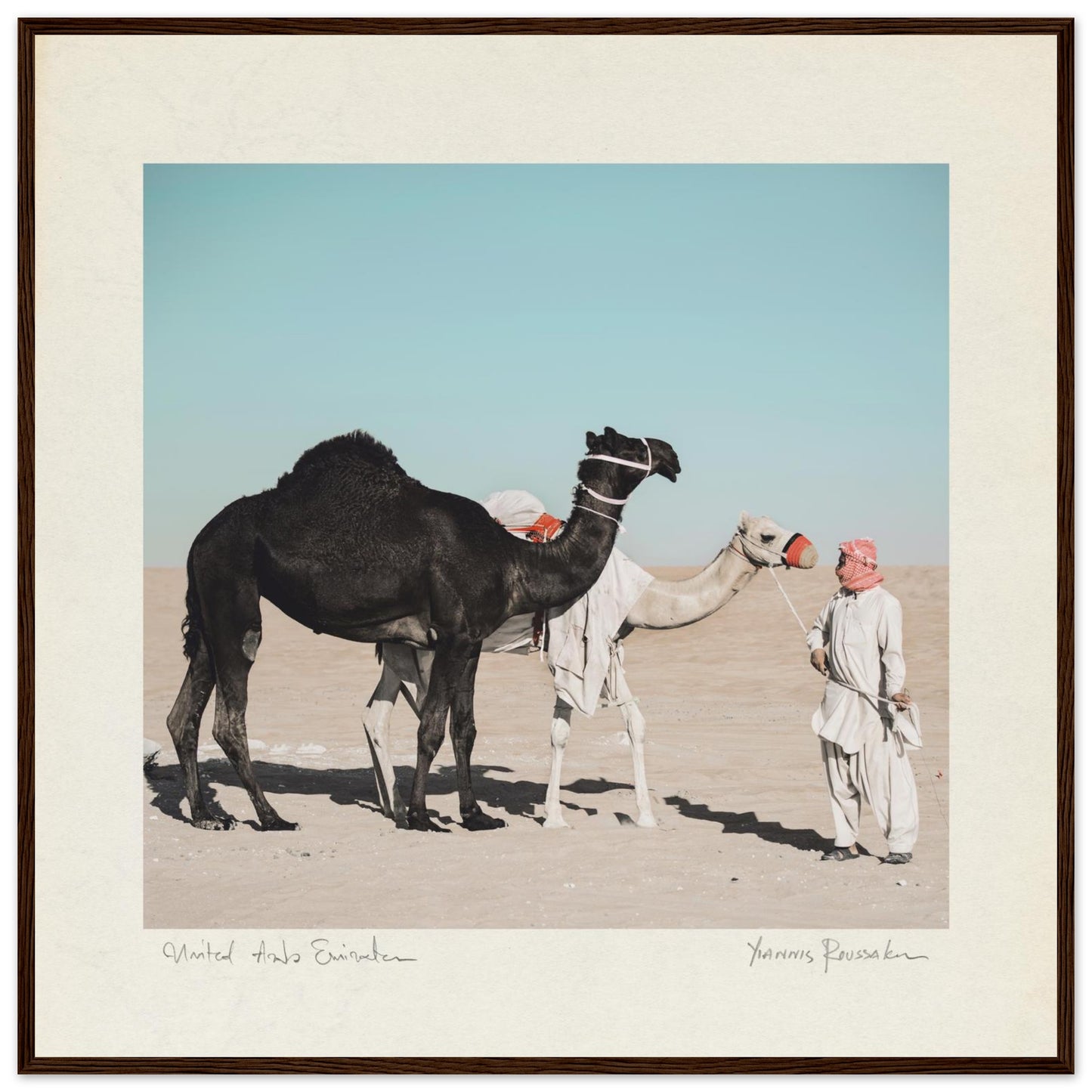 8b53aa6d-ee65-48d7-a04d-8b6db9045d86