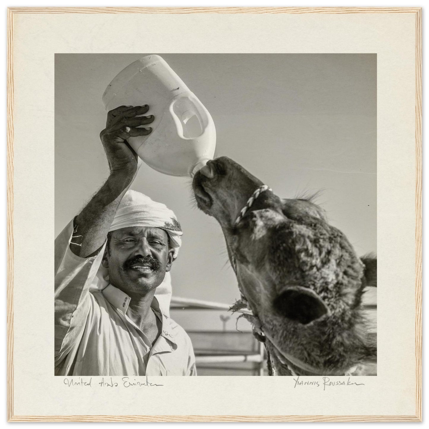 8beb85fa-8016-4a79-b27a-6119b0ae5942