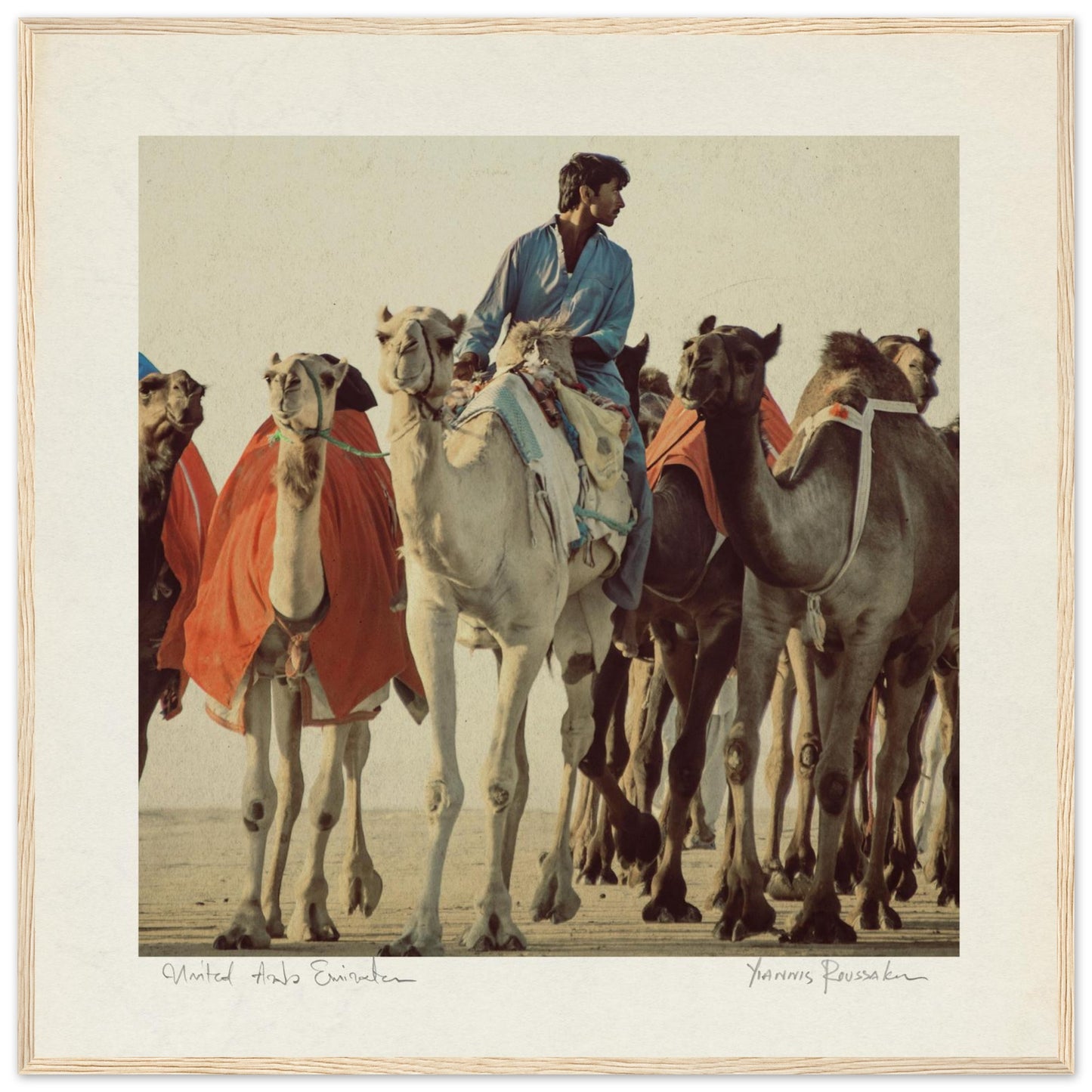 8c1b362a-4696-4a57-9f9b-de91459a3837