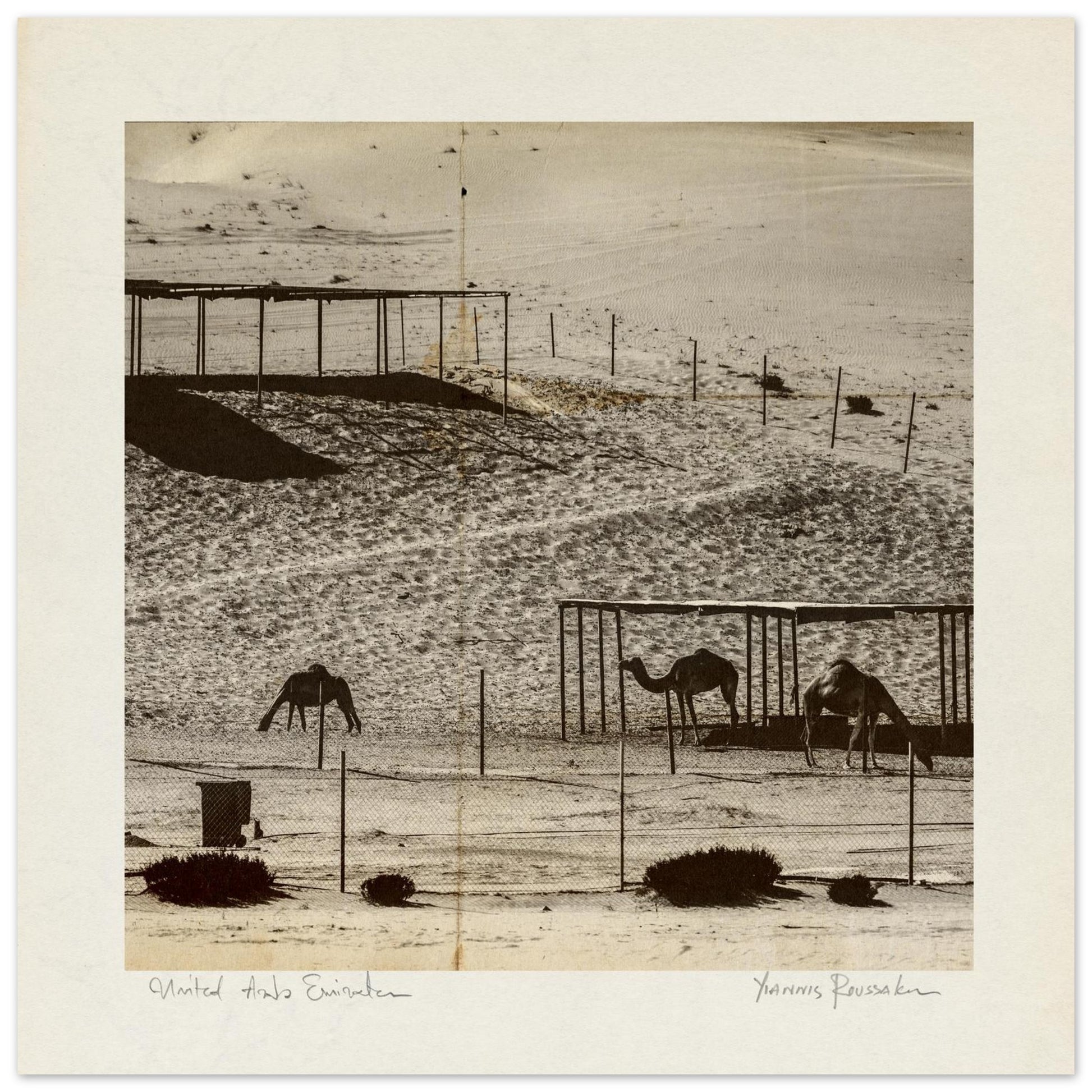 8d5c7653-07f8-428b-b527-257074def61e