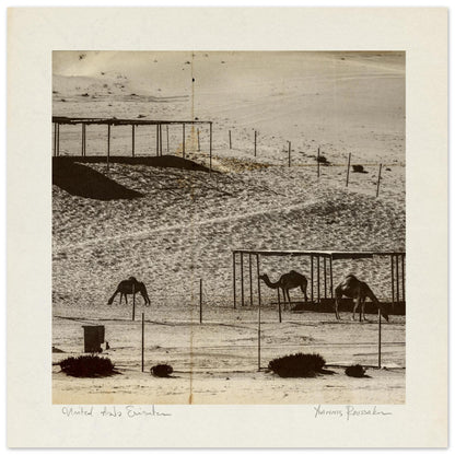 8d5c7653-07f8-428b-b527-257074def61e