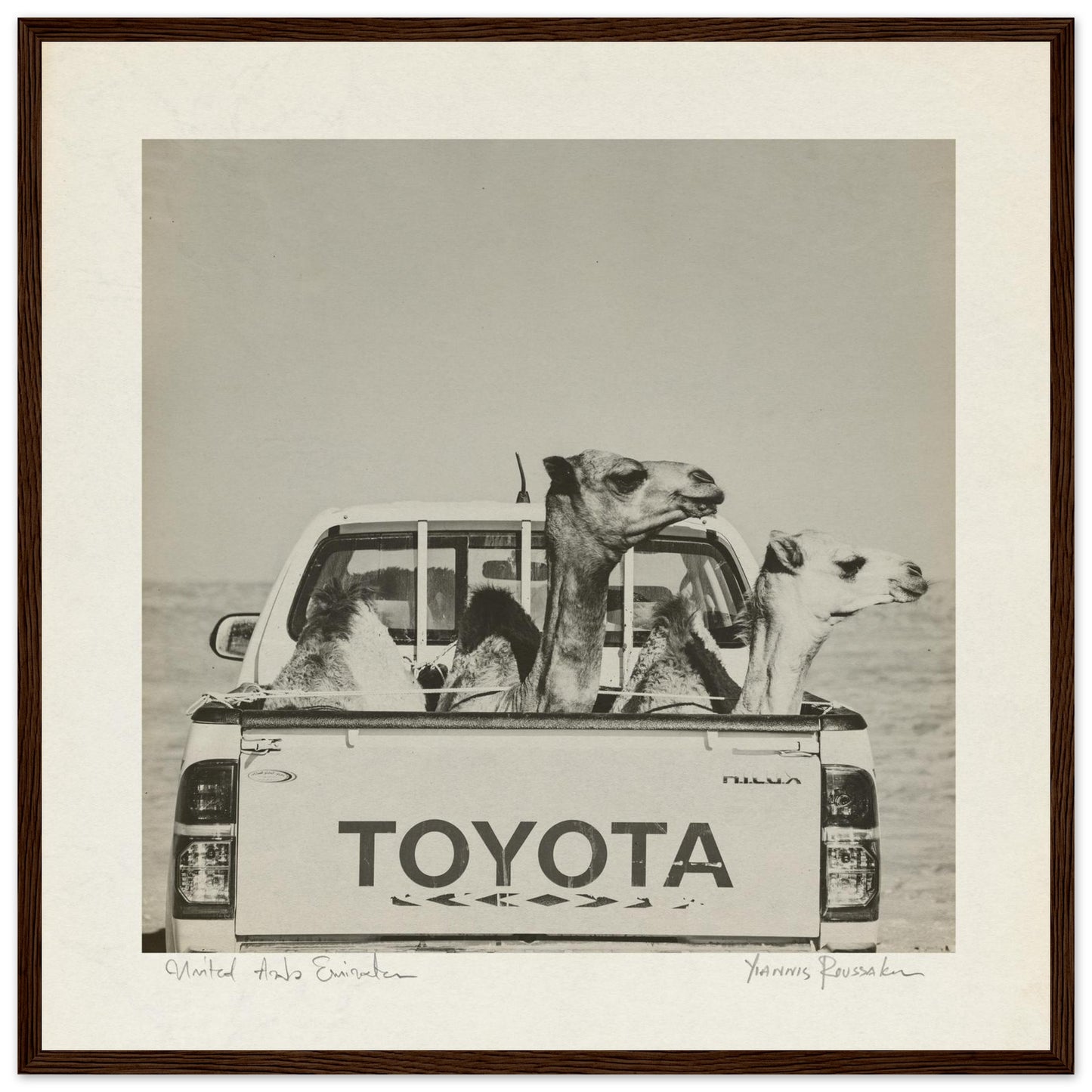 8e09497e-829e-4a70-83ff-33105358a66b