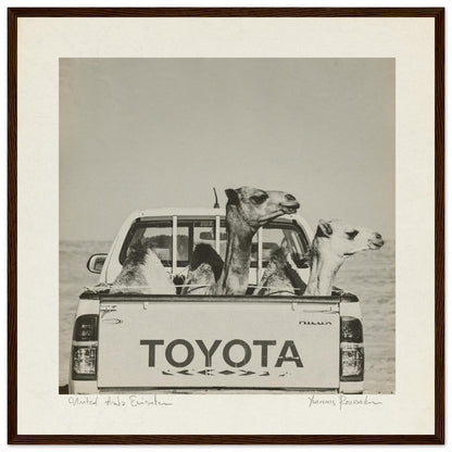 8e09497e-829e-4a70-83ff-33105358a66b