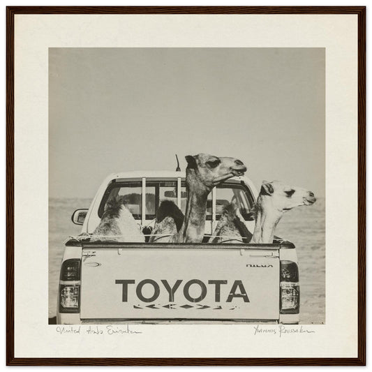 8e09497e-829e-4a70-83ff-33105358a66b