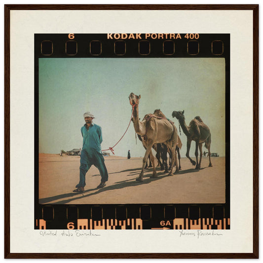 8ecefb64-b792-4703-a2ca-0e8c698e4067