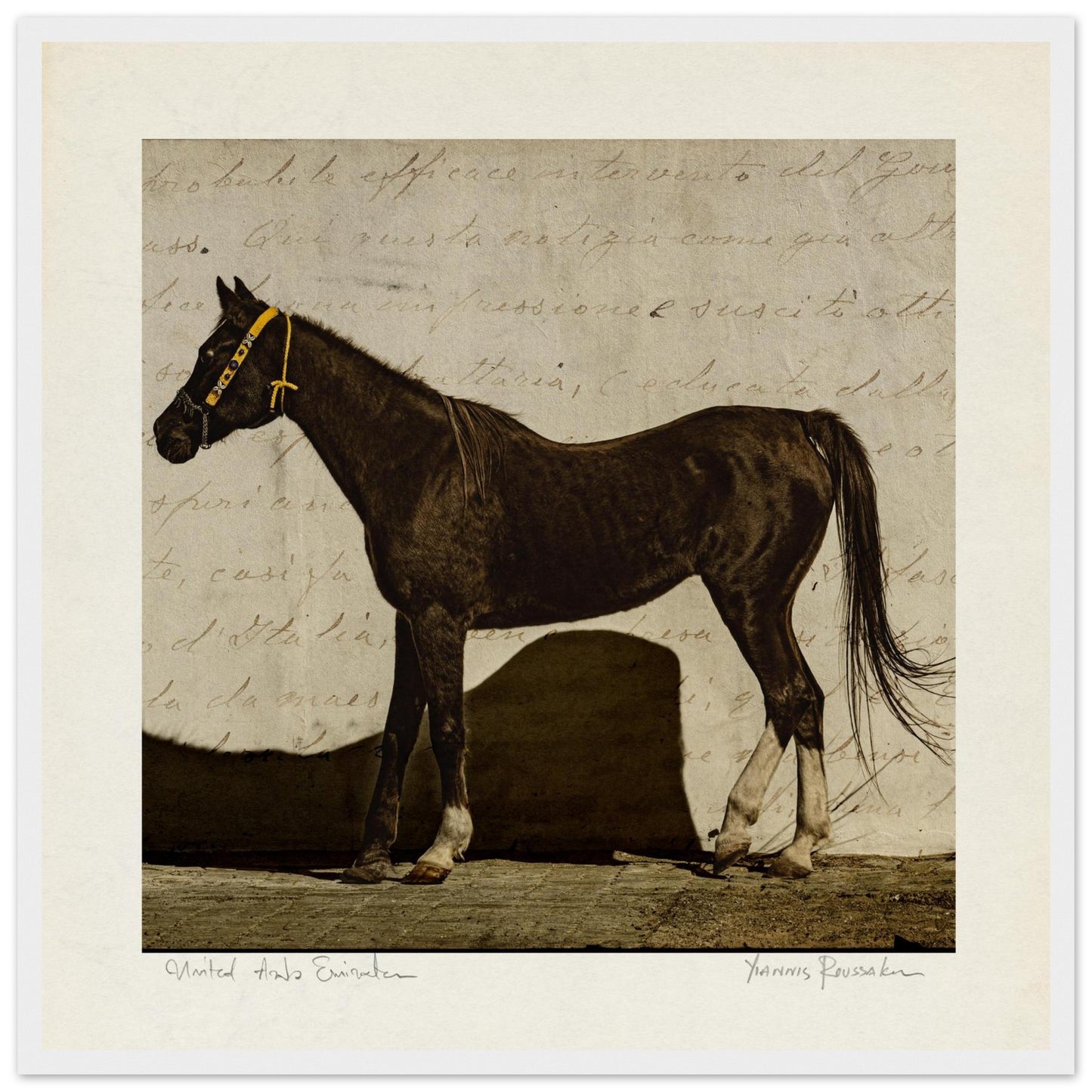 8ee93efc-49c4-4d25-b1a3-0185fa3b6fb0