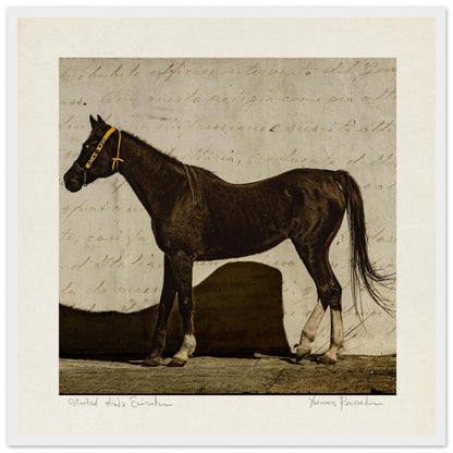 8ee93efc-49c4-4d25-b1a3-0185fa3b6fb0