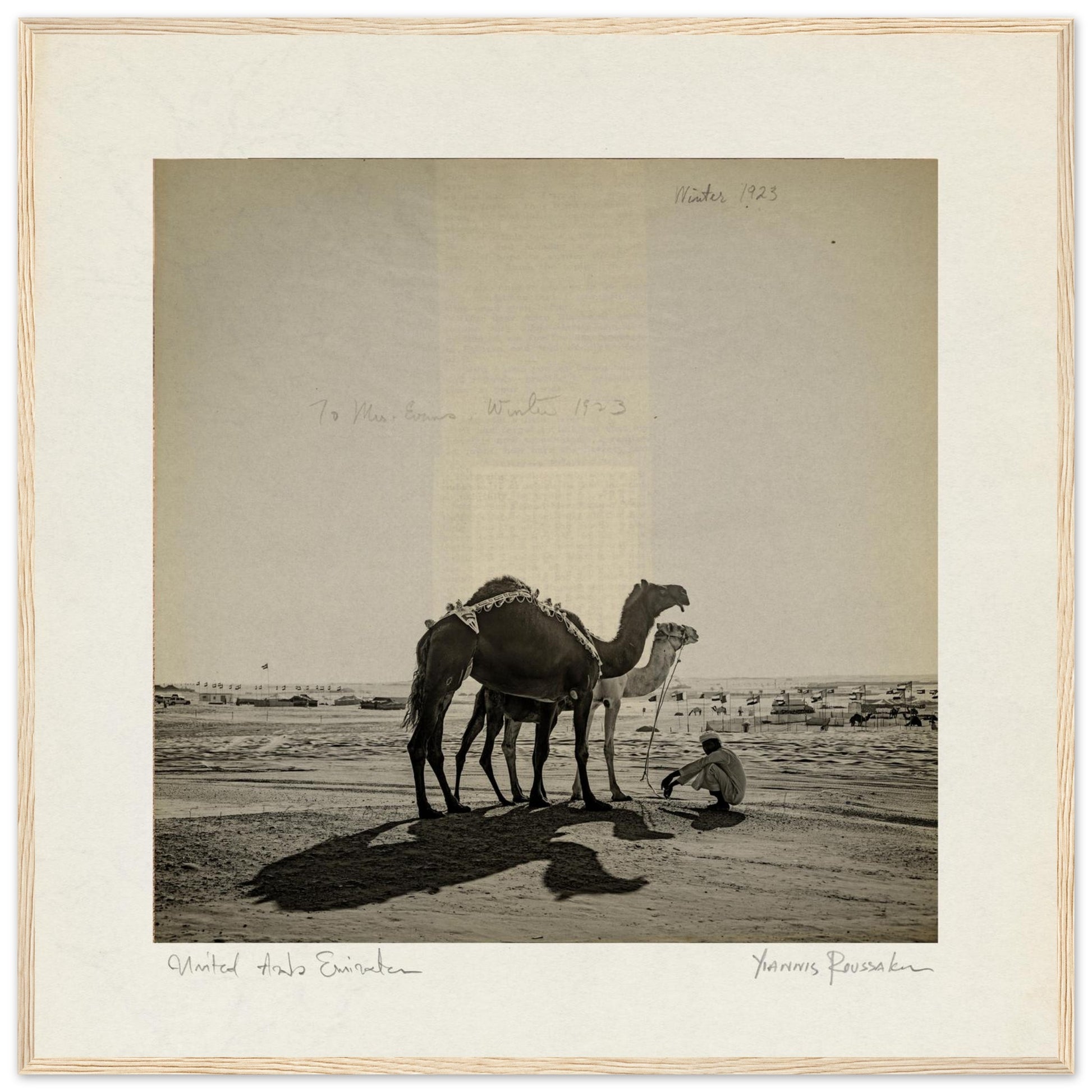 9048e298-d89b-49fb-b19d-ee8c9825c57a