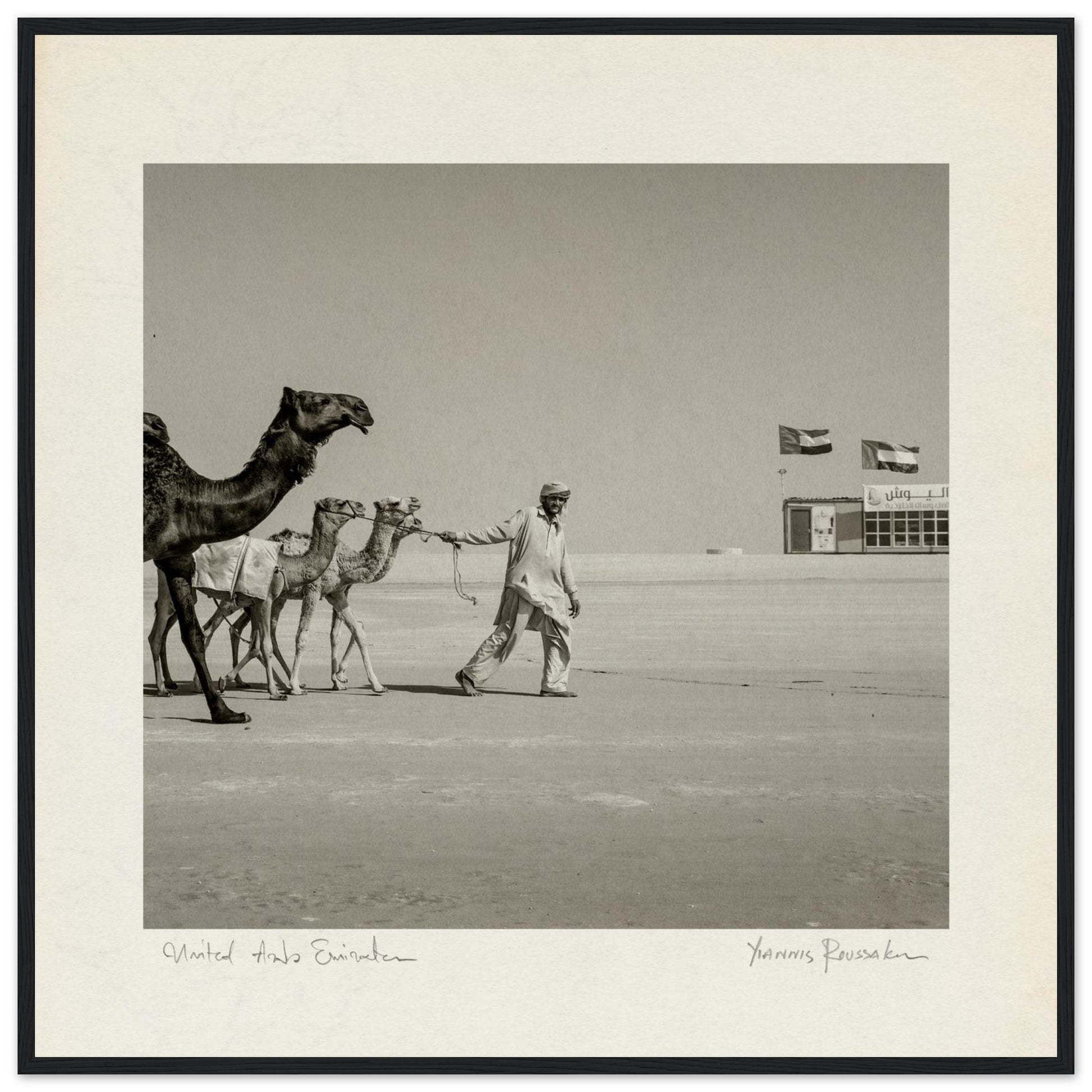 90ce3258-81df-4526-a660-261db445ba06