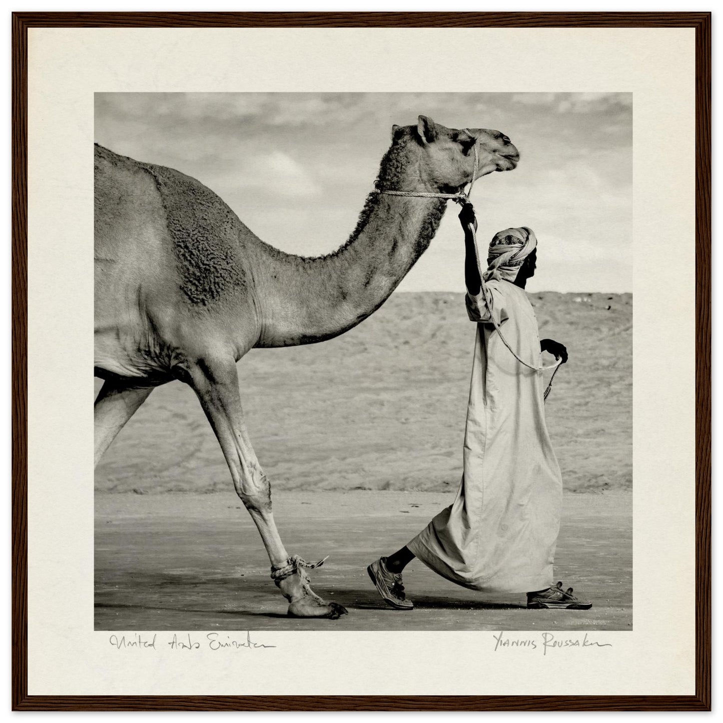 90d75d2d-fd5f-46a9-8c34-35abe2d3f0e1