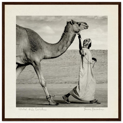 90d75d2d-fd5f-46a9-8c34-35abe2d3f0e1