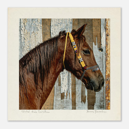 911eb8df-9773-4440-8bc7-ad40fe5f8386