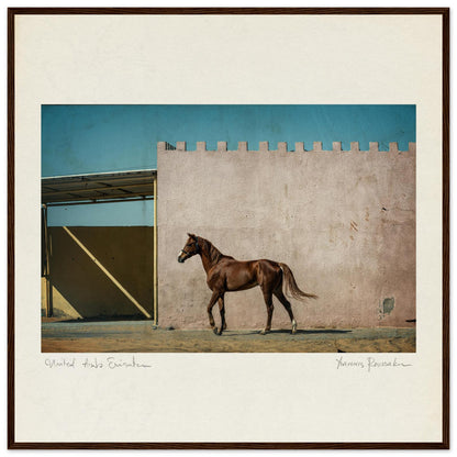 91eb0226-4a61-412e-8349-af044dc035cc