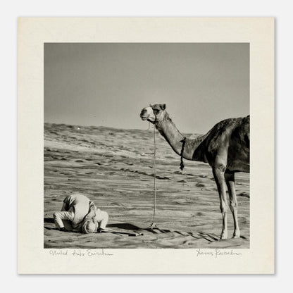 929b4dba-a97b-4d44-bd6a-91160d8c3d73