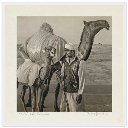 932c1b99-7920-40a4-86d8-afb6e78fd36e