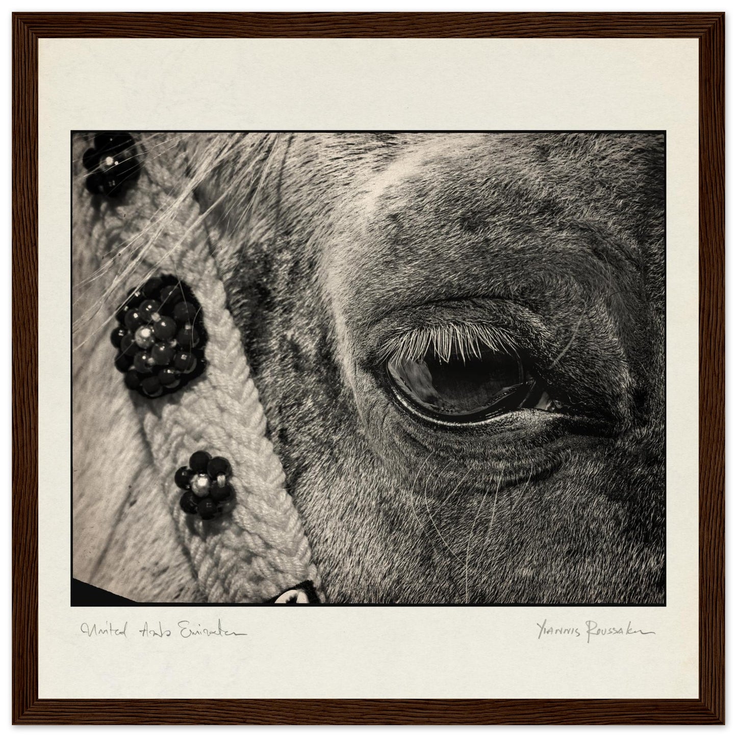 933a6053-4cab-4696-b6b4-cb212b975a2f