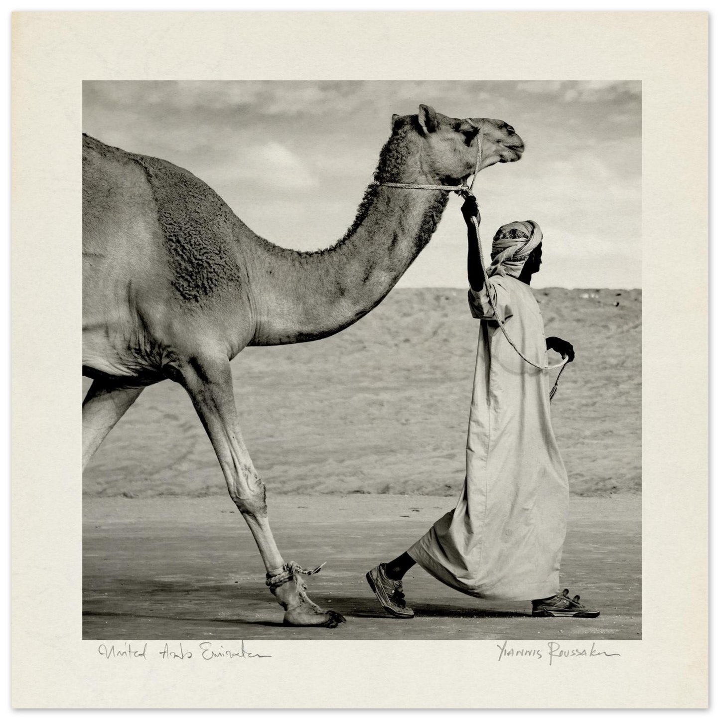 934a6209-7e70-4e3f-a6e2-ffcca9117902