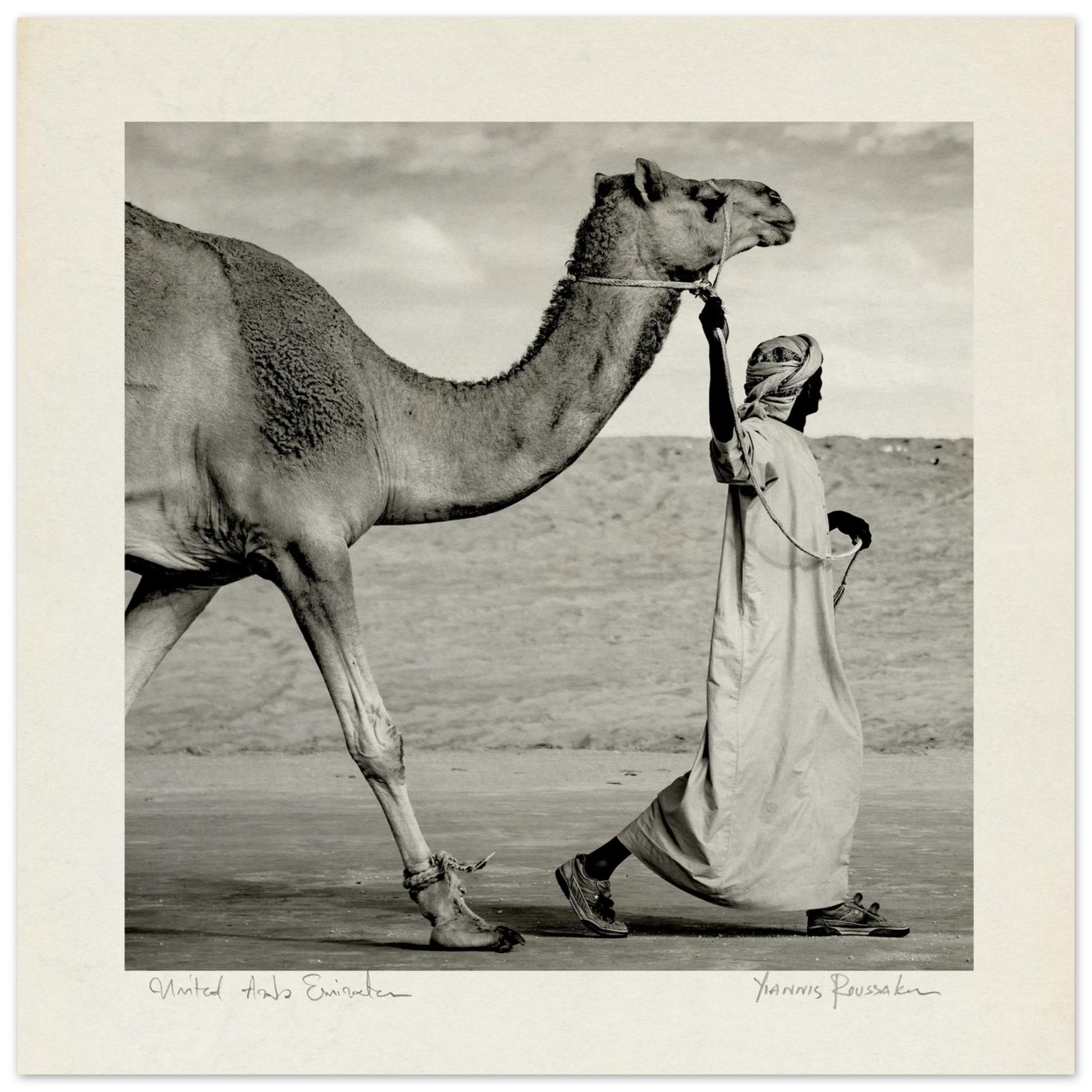 934a6209-7e70-4e3f-a6e2-ffcca9117902