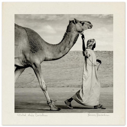 934a6209-7e70-4e3f-a6e2-ffcca9117902