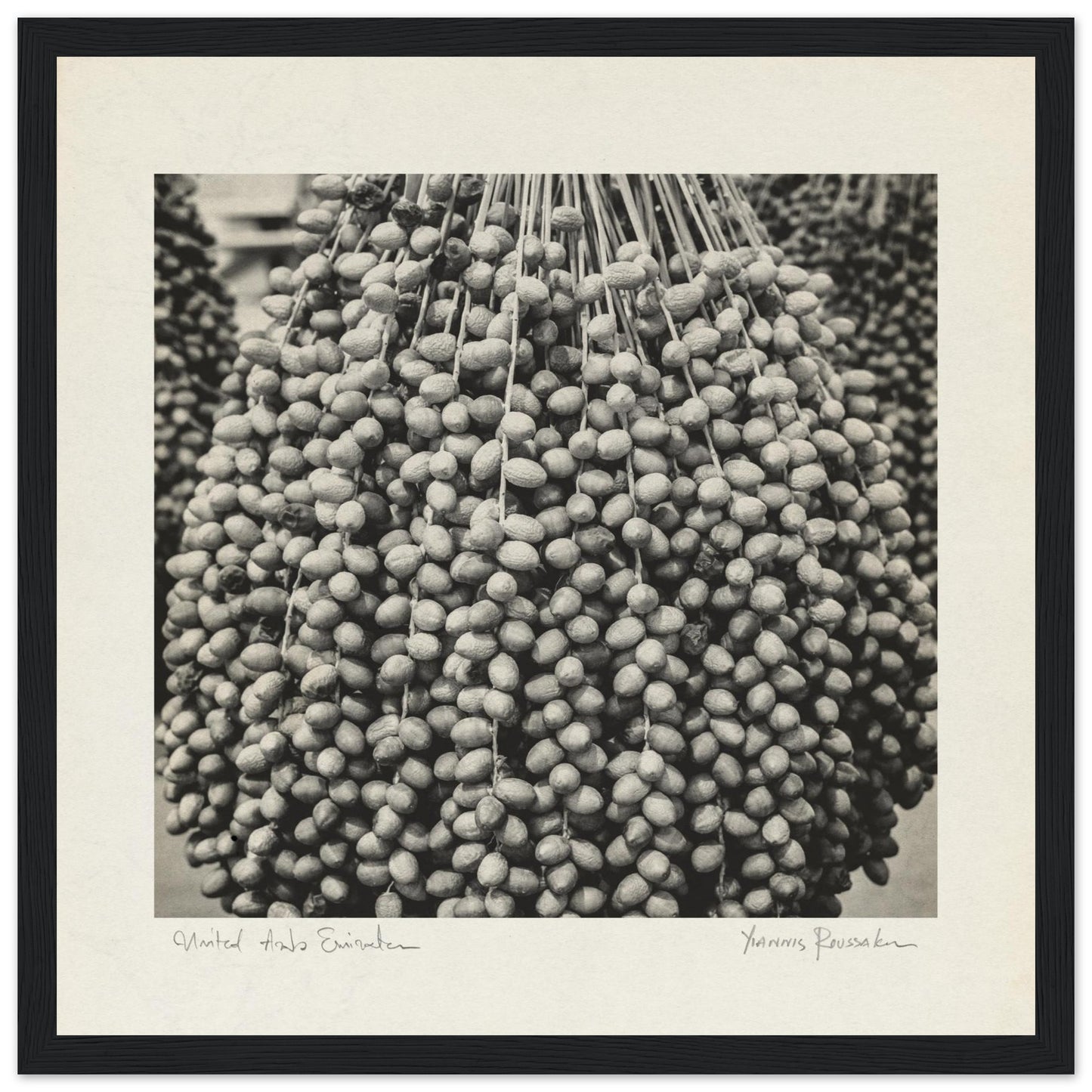 9536f4b0-832d-487d-96a9-7a82fdb657be