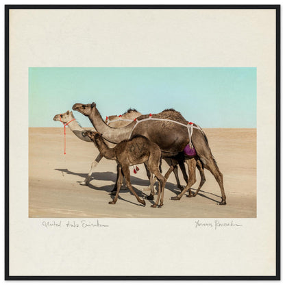 96a258f5-0ce4-4724-b243-4f681c2787db