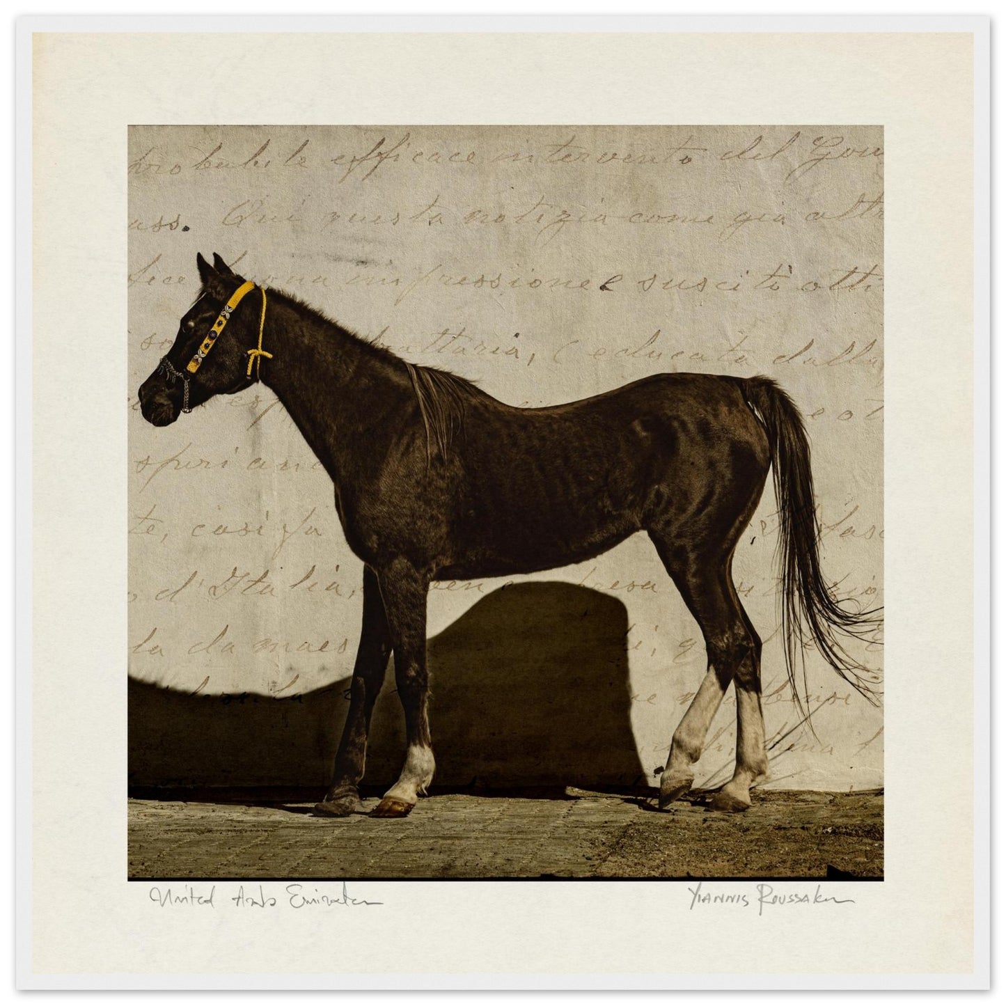 96ef9233-bb24-42bd-9a02-a7a5653ca578