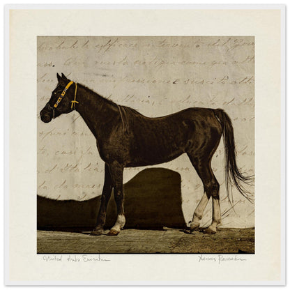 96ef9233-bb24-42bd-9a02-a7a5653ca578