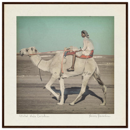 97b55f0d-1e89-4643-8e4a-15d3be885eae