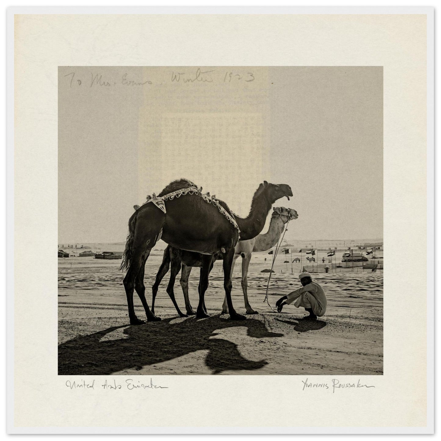 99004738-31e6-4cf7-82bd-2c989cf6be7b