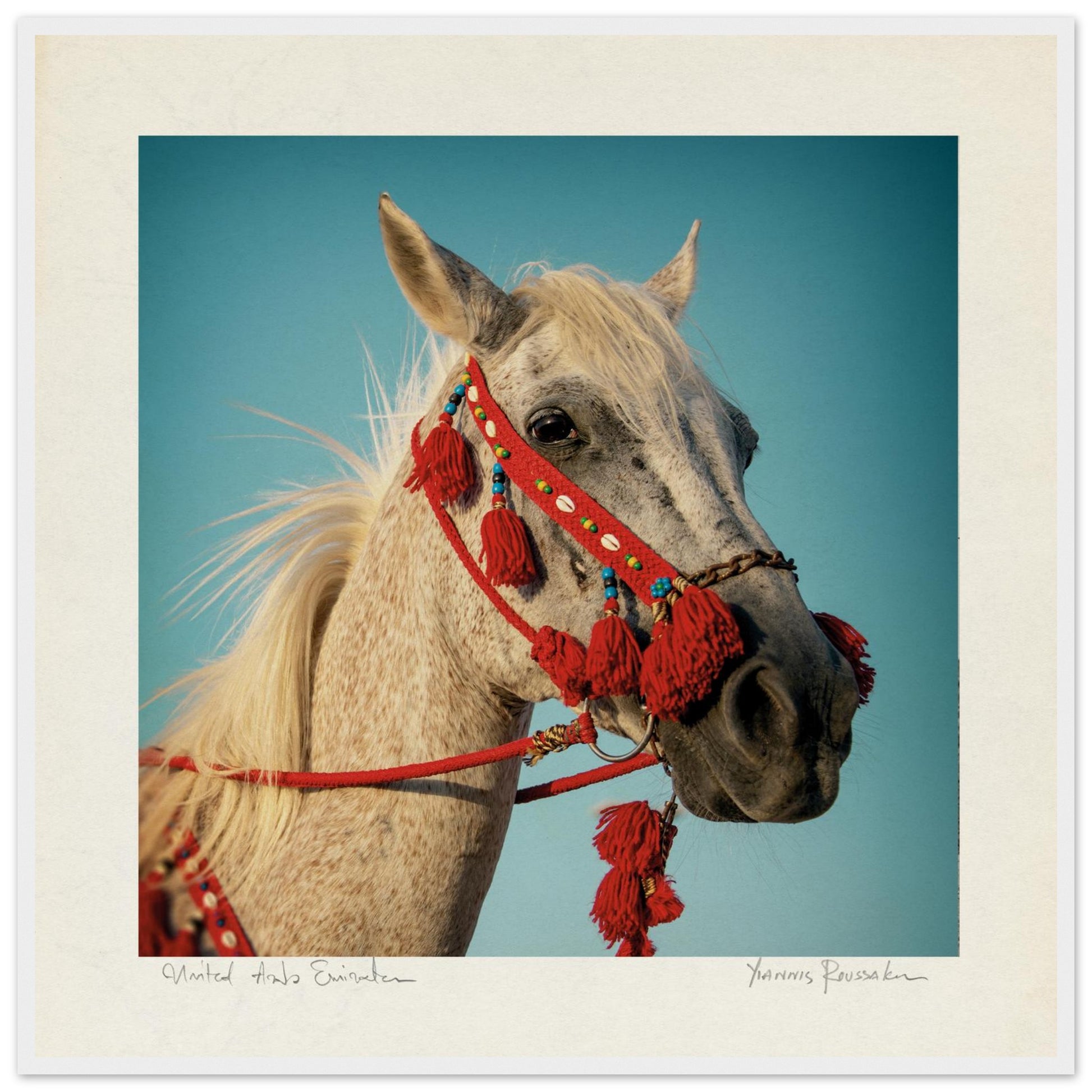 9a5f8e15-689b-4b1c-894a-ed4048193d85