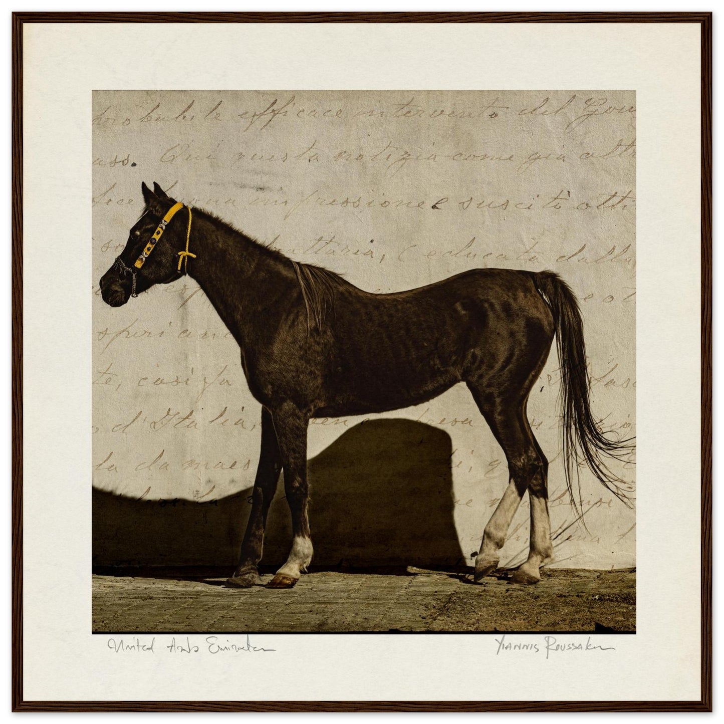 9a702563-d929-4dba-b768-edef3a3a9b00