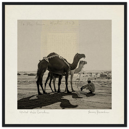 9b3cc652-0601-4fbe-af3b-f07253436772