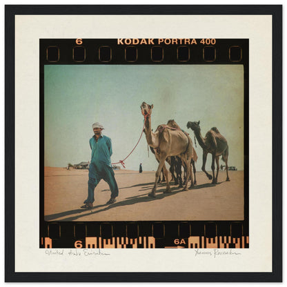 9d0dbe48-610b-440d-8b27-c7c198dc3fbd