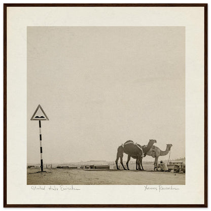 9e5dc9bb-20e3-498f-86ce-633c12c5a2c0