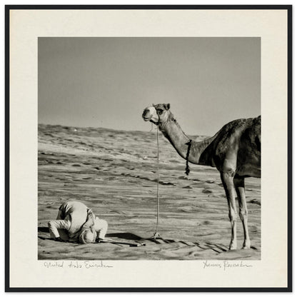 a36f48a6-034c-460d-84f6-2039ef4bf3ac